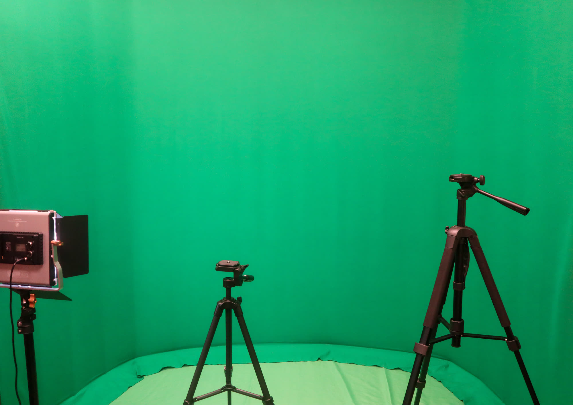 Video created at Elysian